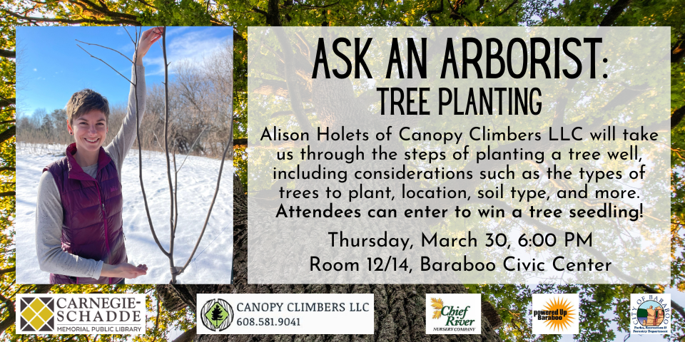 Slide for Ask an Arborist with photo of Alison Holets