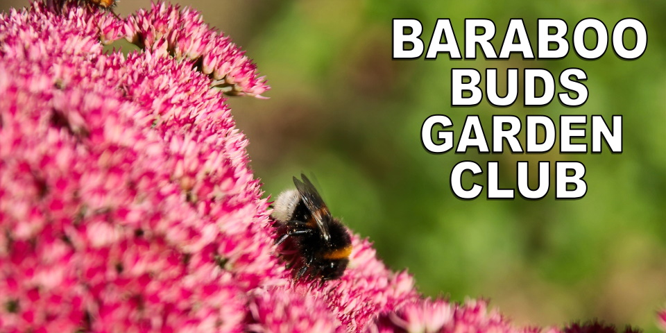 slide advertising Baraboo Buds Garden Club meeting 10-12-21