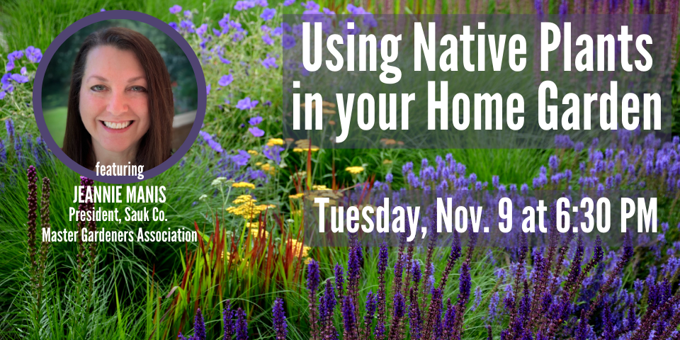 slide advertising the program Using Native Plants in Your Home Garden 11-9-21 featuring Jeannie Manis, President, Sauk County Master Gardener's Association